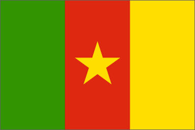 flag